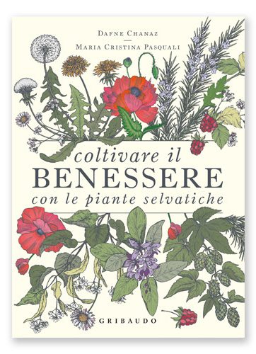 Coltivare il benessere con le piante selvatiche